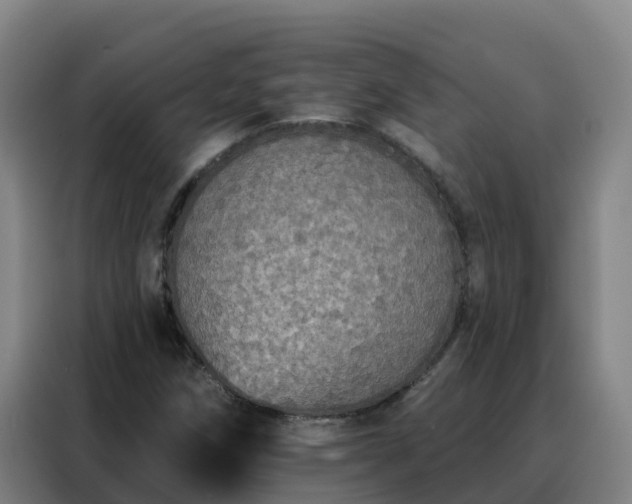 X0000088141258200705211129