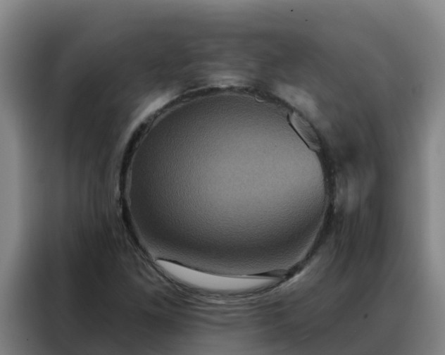 X0000088141261200705211129