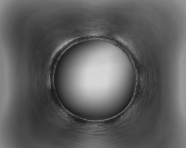 X0000088141262200705211129