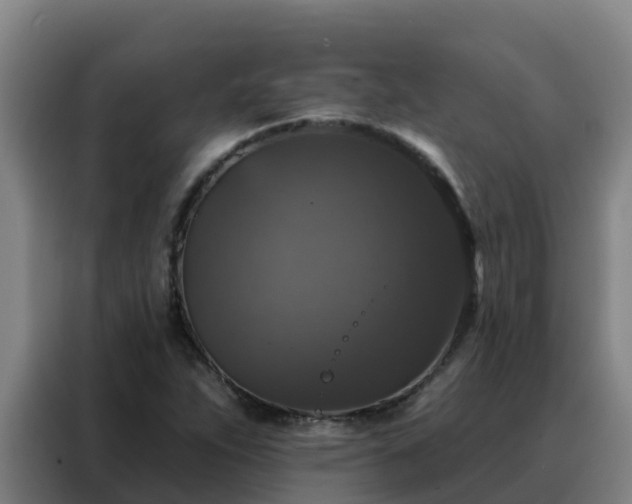 X0000088141263200705211128