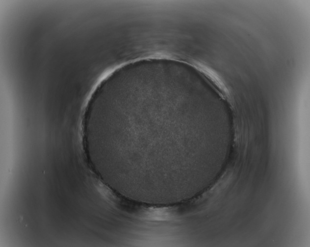 X0000088141264200705211128
