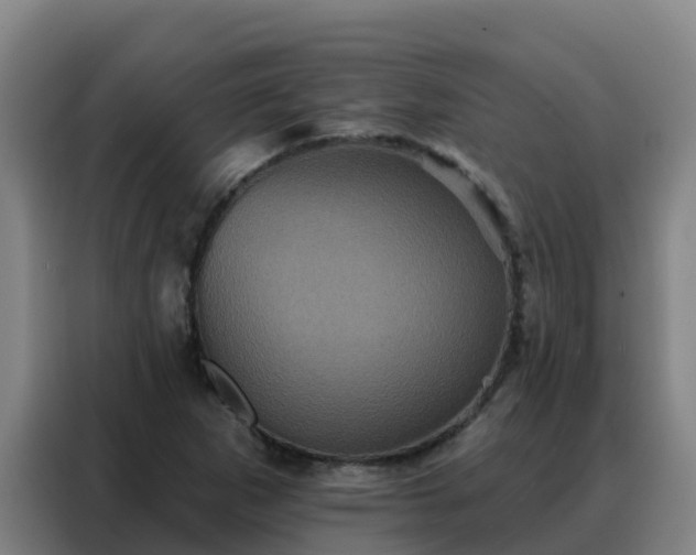 X0000088141265200705211128