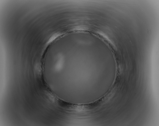 X0000088141266200705211128