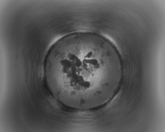 X0000088141267200705211128