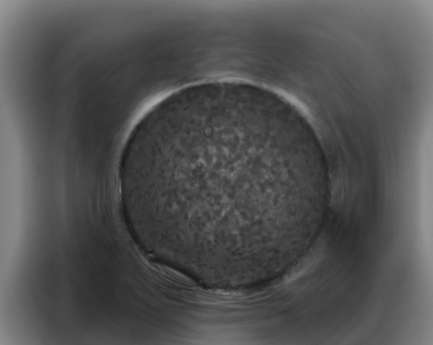 X0000088141271200705211128