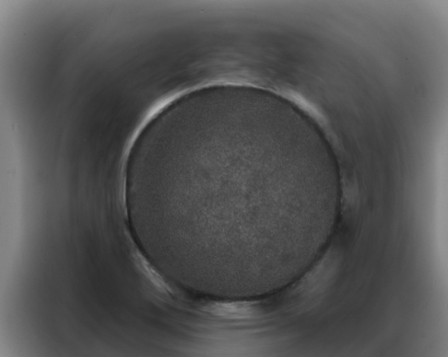 X0000088141272200705211128