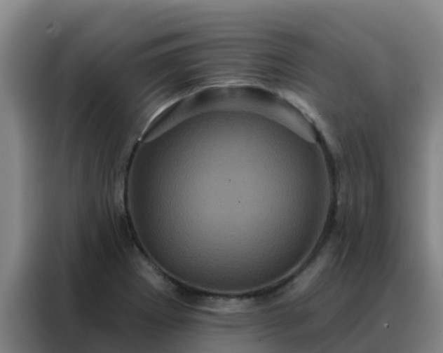X0000088141273200705211128