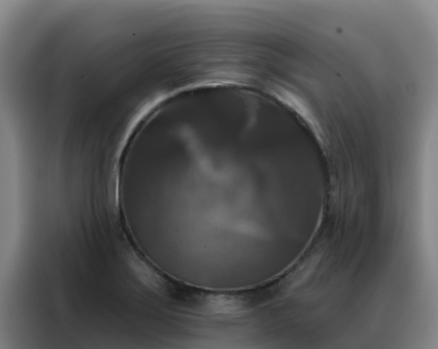 X0000088141275200705211128