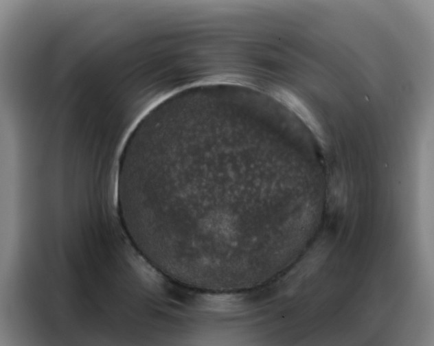 X0000088141276200705211128