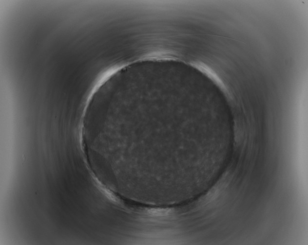 X0000088141277200705211128