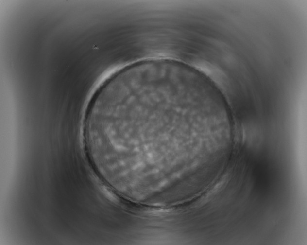 X0000088141278200705211128