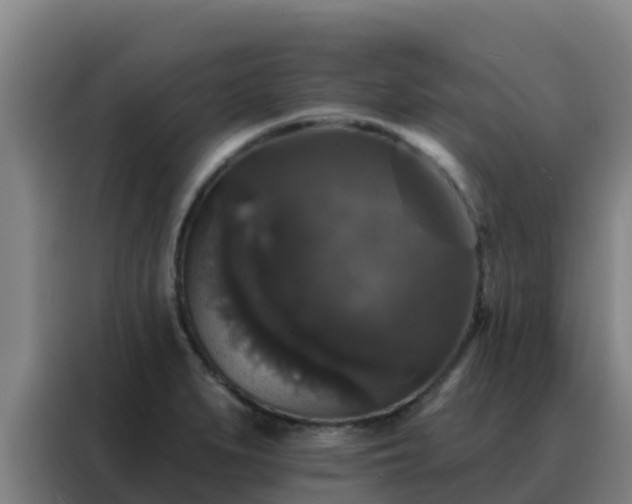 X0000088141279200705211128