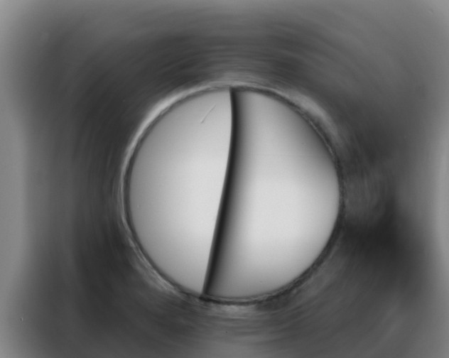 X0000088141280200705211128