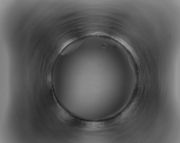 X0000088141281200705211128