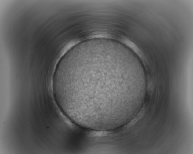 X0000088141282200705211128