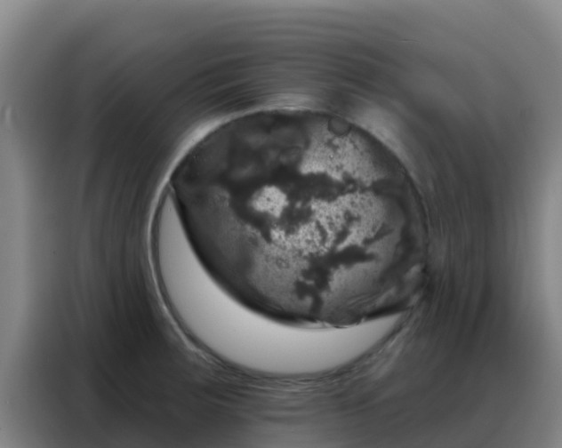 X0000088141283200705211128