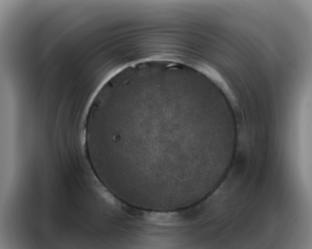 X0000088141284200705211128