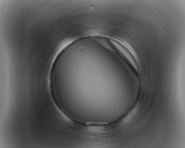 X0000088141285200705211128