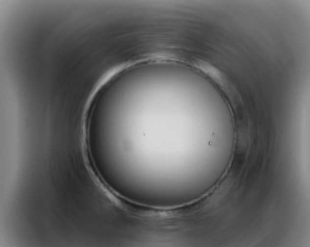 X0000088141286200705211128