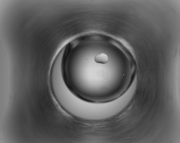 X0000088141287200705211128