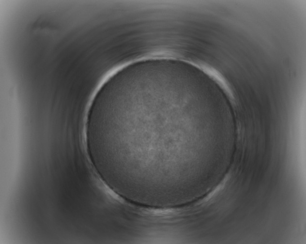 X0000088141288200705211128