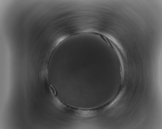 X0000088141289200705211128