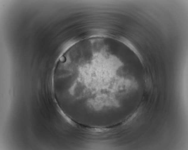 X0000088141290200705211128