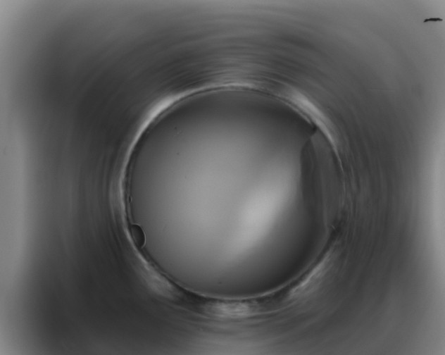 X0000088141291200705211128