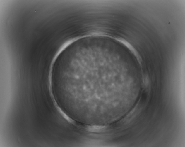 X0000088141294200705211128