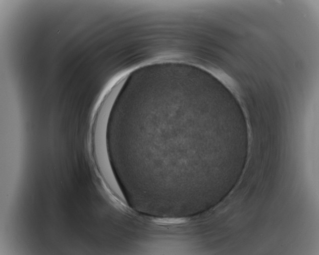 X0000088141296200705211128