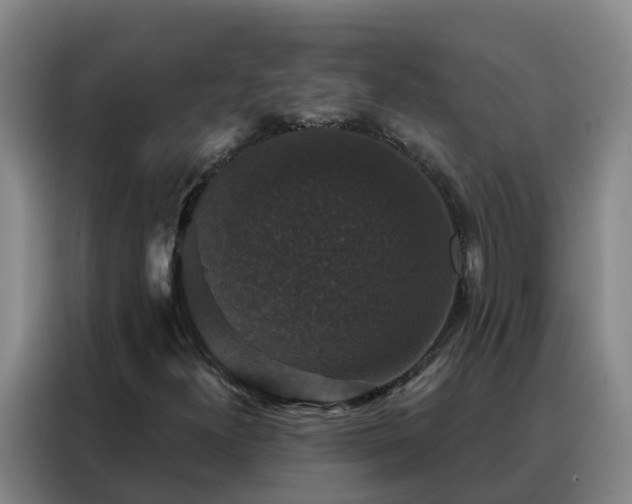 X0000088141300200705211127