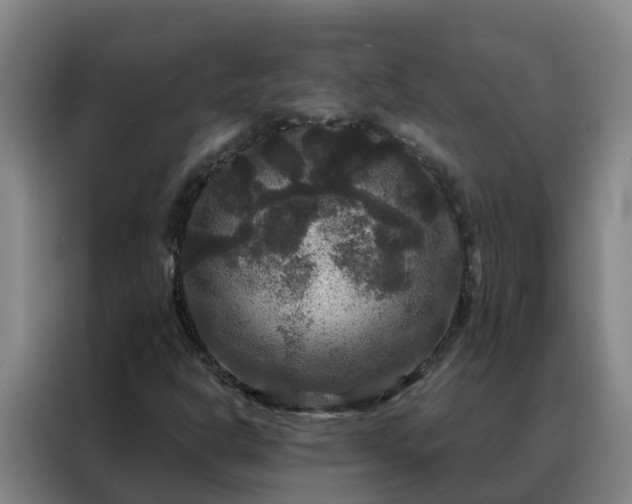 X0000088141302200705211128