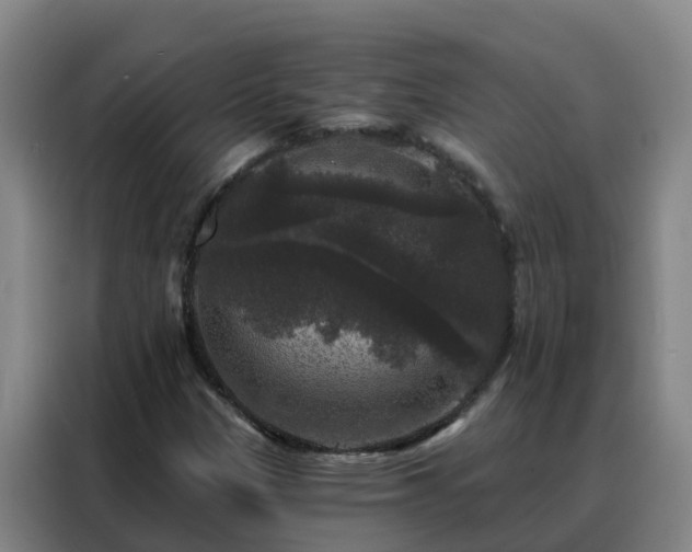 X0000088141305200705211128