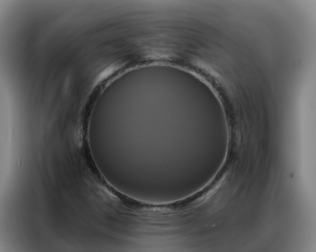 X0000088141306200705211128