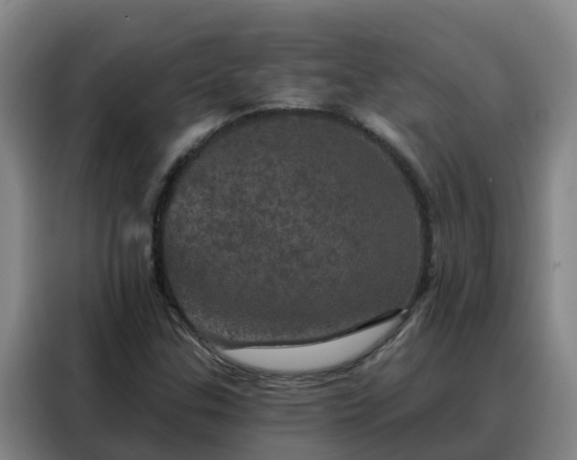 X0000088141307200705211128