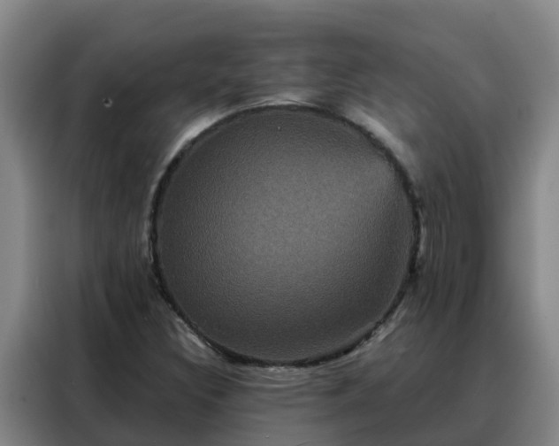 X0000088141308200705211128