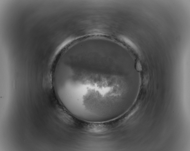 X0000088141310200705211128