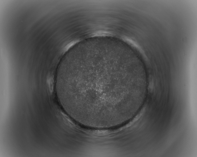 X0000088141313200705211128