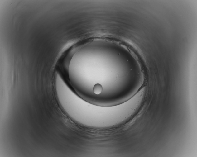 X0000088141314200705211128