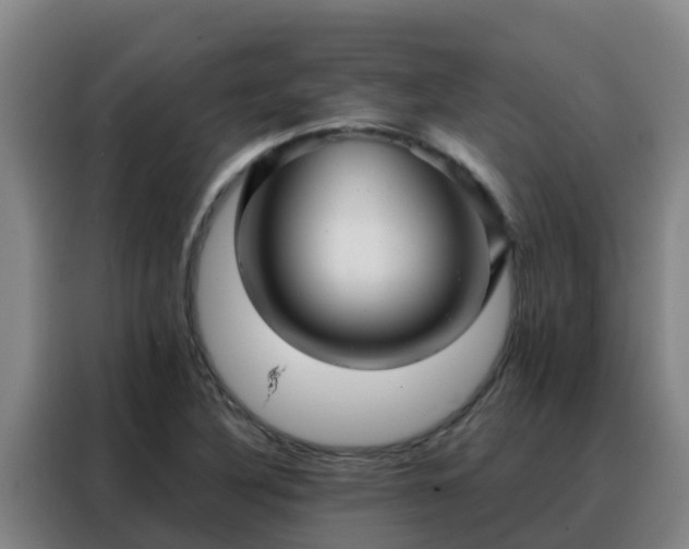 X0000088141316200705211128