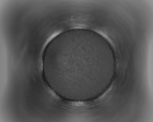 X0000088141317200705211128