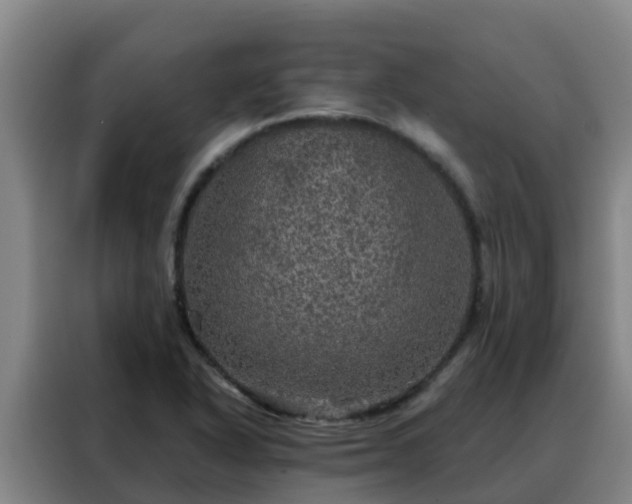X0000088141318200705211128