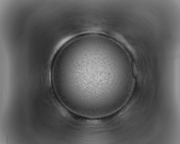 X0000088141320200705211128