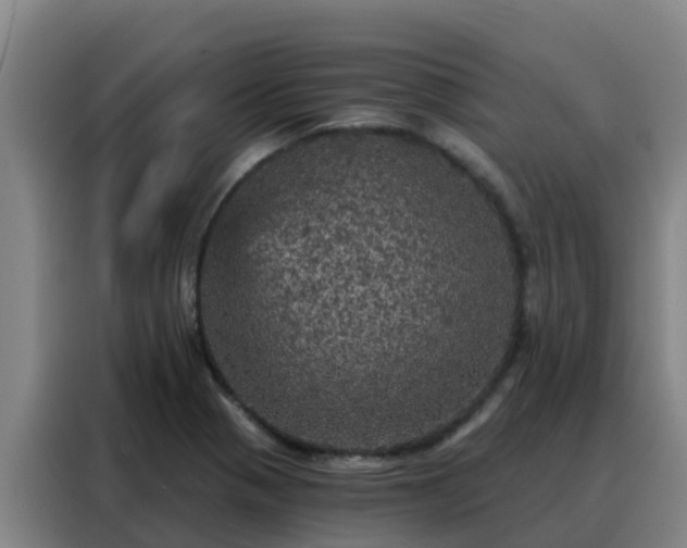 X0000088141321200705211128