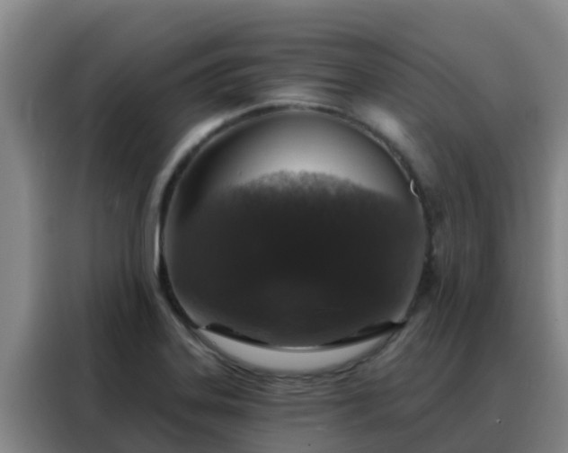 X0000088141323200705211128