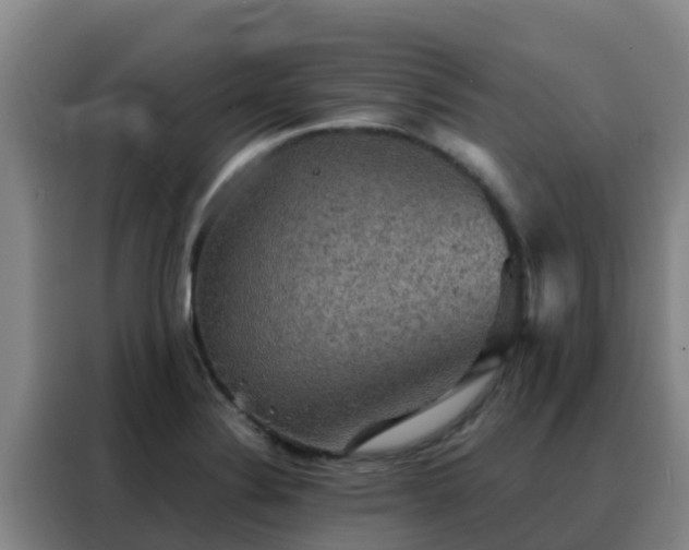X0000088141324200705211128