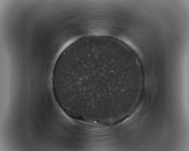 X0000088141325200705211128