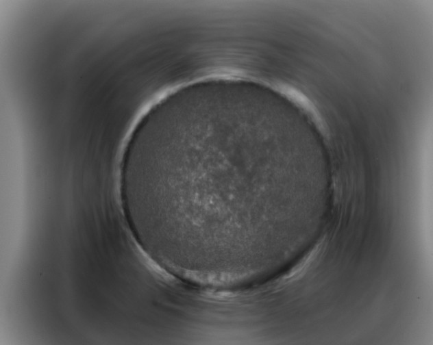 X0000088141326200705211128
