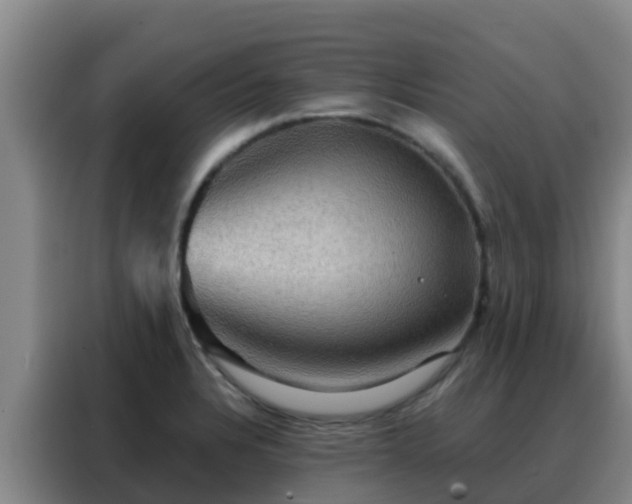 X0000088141328200705211128