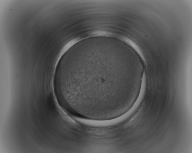 X0000088141330200705211128